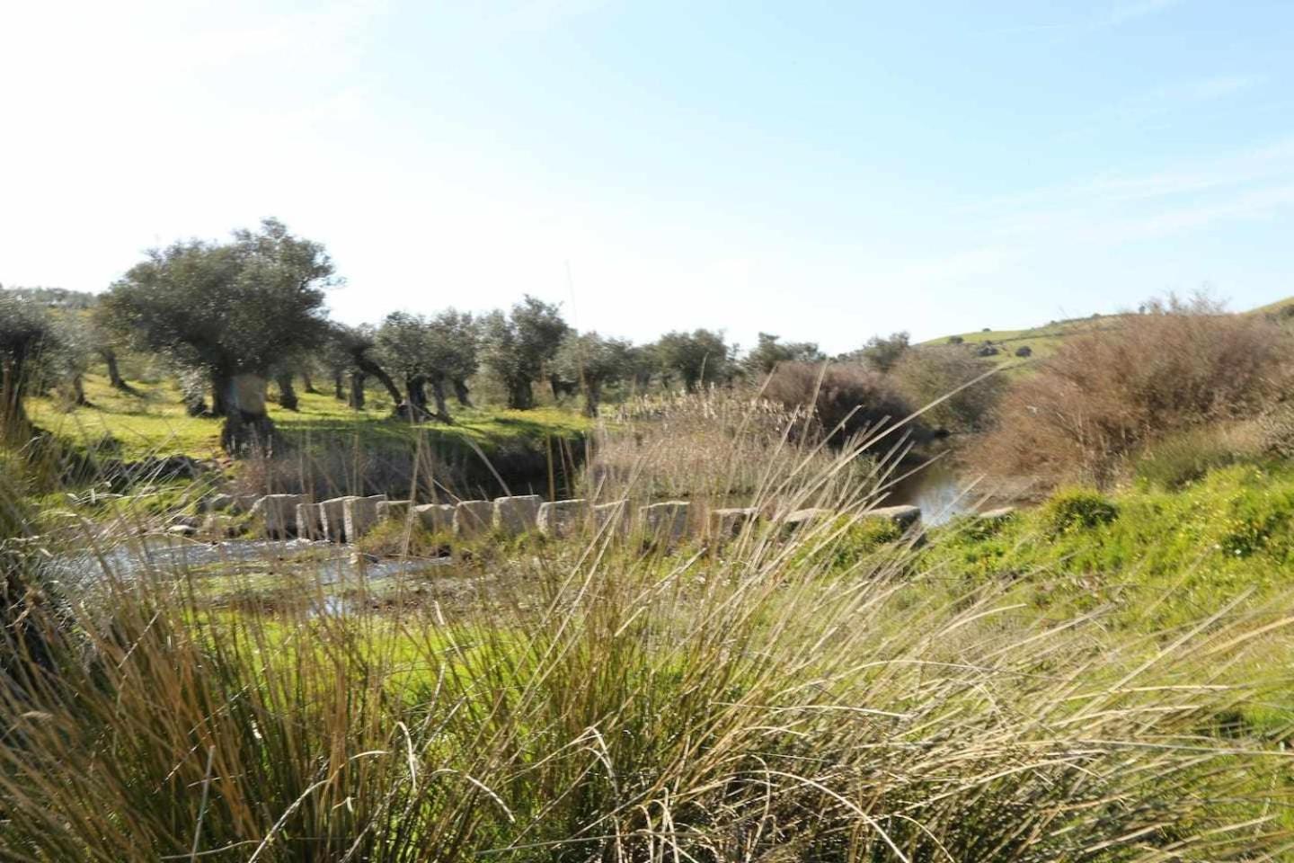 El Olivar Agloipe Ahigal Trcc Buitenkant foto